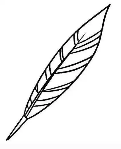羽毛简笔画 羽毛简笔画彩色