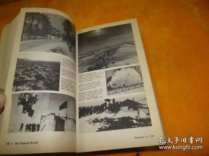 guinness book of world records 1985 【吉尼斯世界纪录大全】