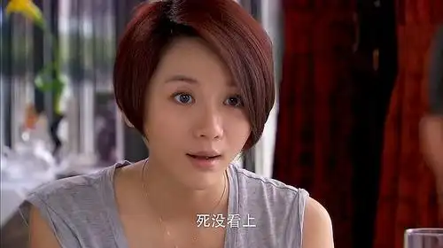 全18集     麻辣冤家2             (重庆话/原版/2008)    电视剧7.