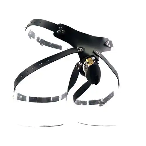 硅胶穿戴贞操装置 阴囊锁 贞洁器 男用阴茎环防出轨性用品 直销