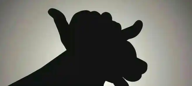 只要有灯光,就可以通过手势的变化,做出兔子,狗,猫等的影子,简单又