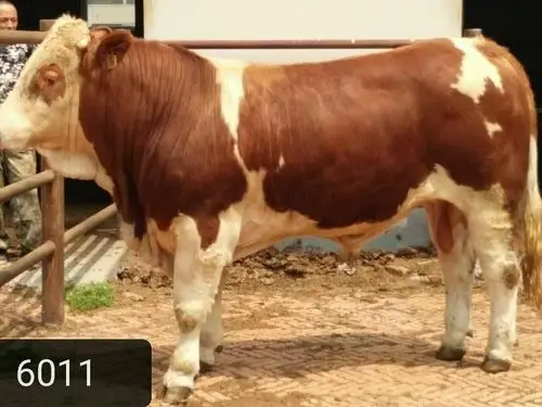 长春新牧有限公司