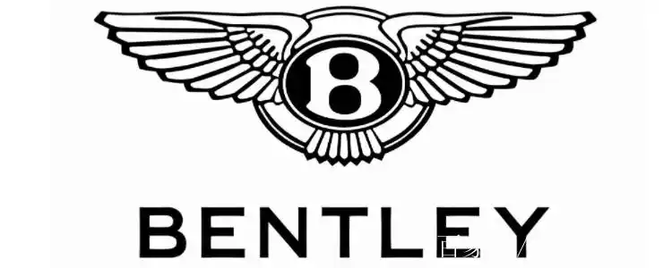 像鸟展翅一样的车标是什么车呢?