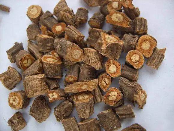 防风的功效与作用