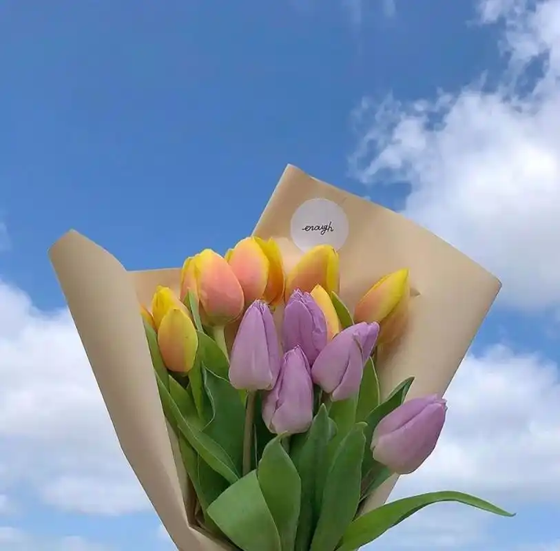 朋友圈封面:给自己买花陪自己长大