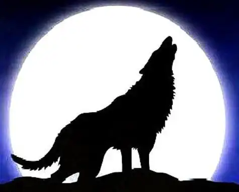 苍狼啸月简笔画