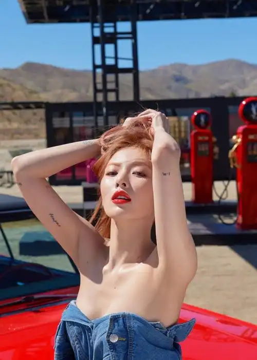 泫雅性感照片大全(7)