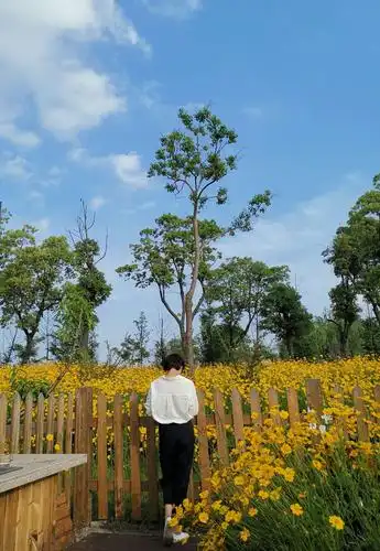 午后的休闲时光