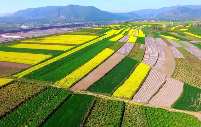 5月20日 宁夏泾源油菜花 自然风光行摄活动