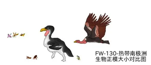 集合贴纯手绘未来狂想曲第一季资料合集