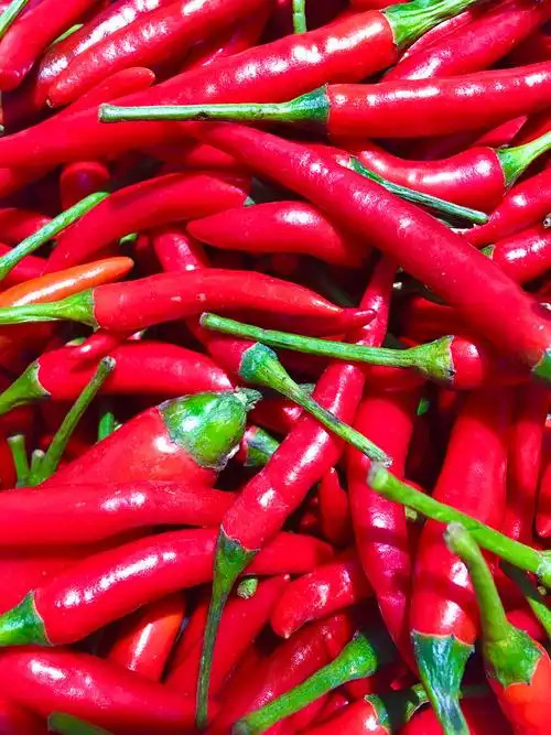 红红火火(小米椒) - 一起拍一起看 - 图虫