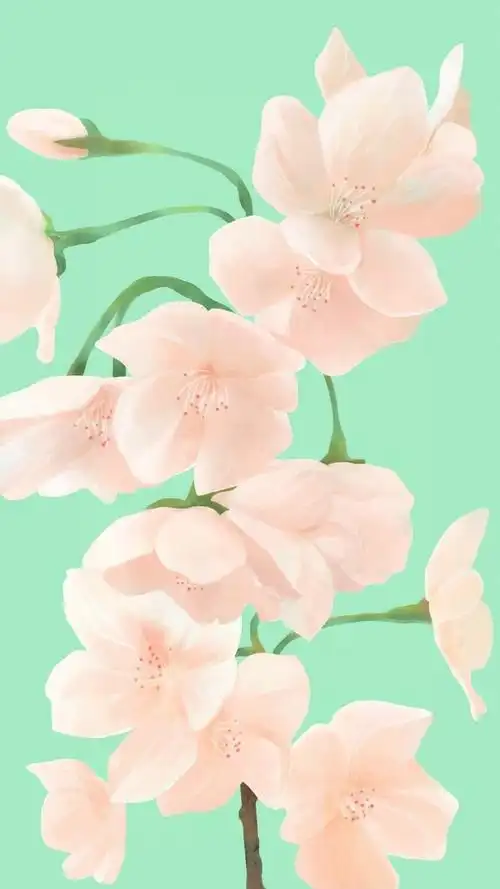 iphone 壁纸 手绘 涂鸦