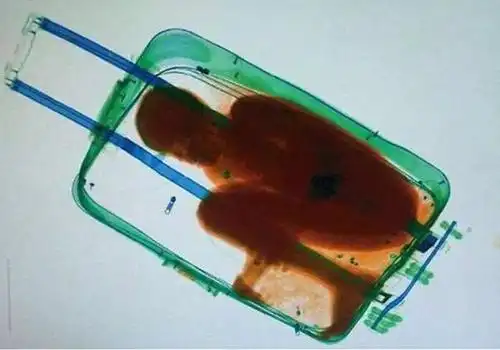 看看这些缴获的违禁品你就知道了……太吓人._手机搜狐网