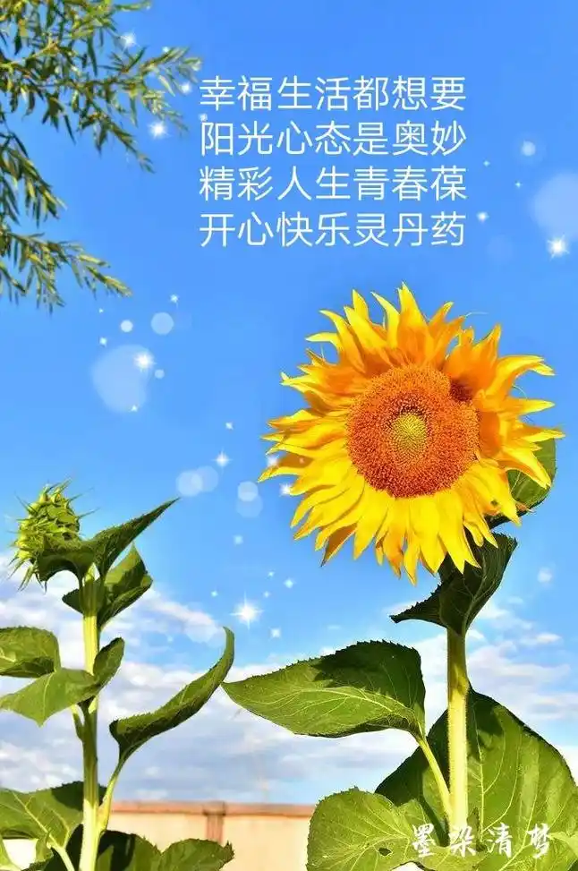 幸福生活都想要 阳光心态是奥妙 精彩人生青春葆 开心快乐灵丹 - 抖音