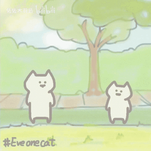 everydayonecat