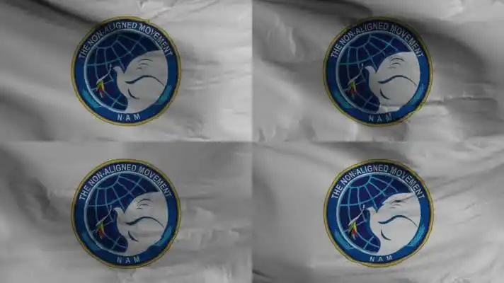 4k不结盟运动旗帜视频素材