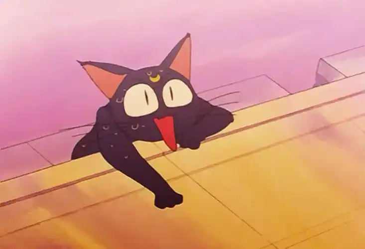 美少女战士露娜