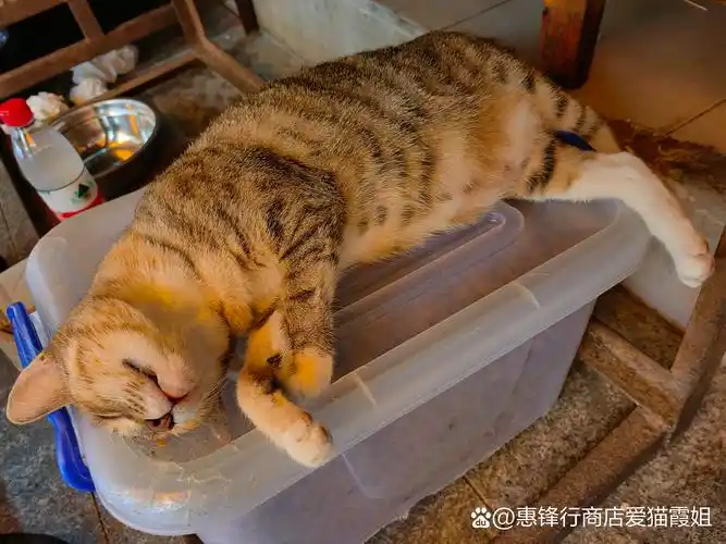 但是,我还是要保持微笑,积极面对生活的挑战.