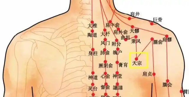 君无笑最新文章