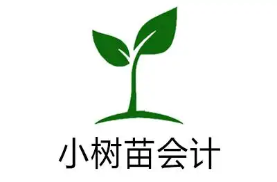 济南小树苗会计培训学校课程