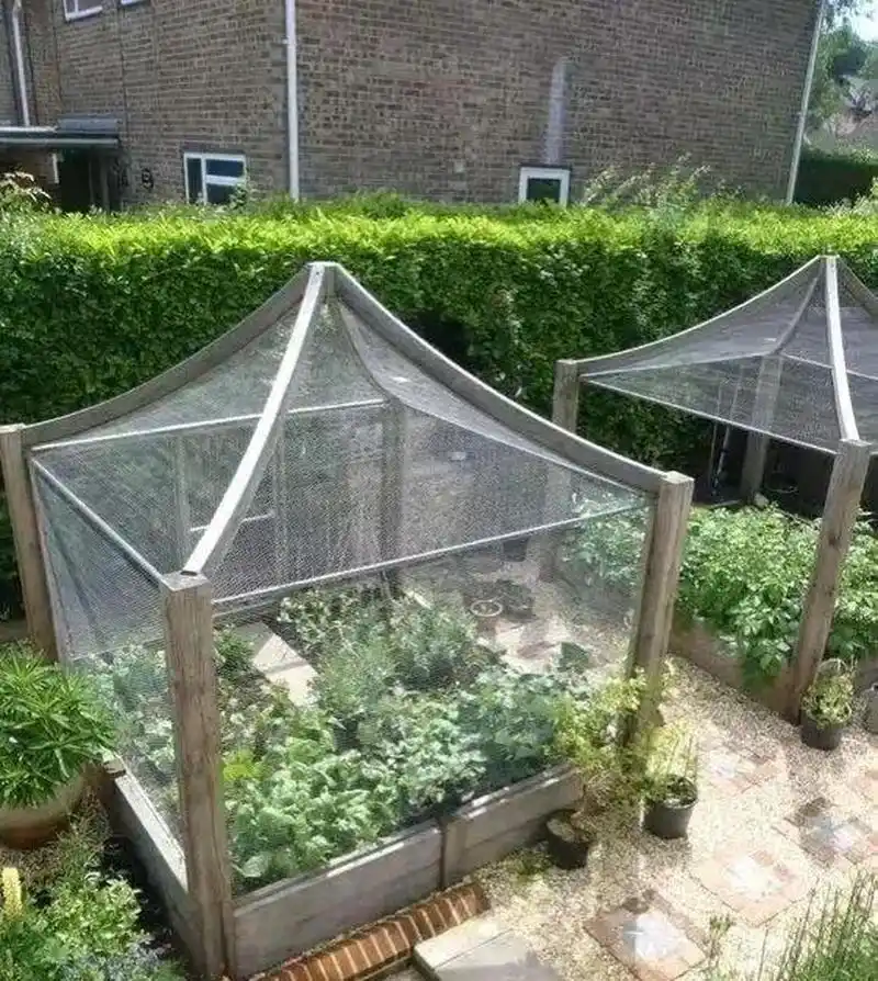 这么高级的大棚种菜第一次见