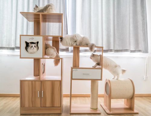 panasky实木猫柜猫爬架猫家家具猫抓柱猫玩具猫窝猫爬架