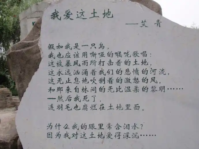 好的诗歌语境直达人的灵魂/读艾青《我爱这土地》