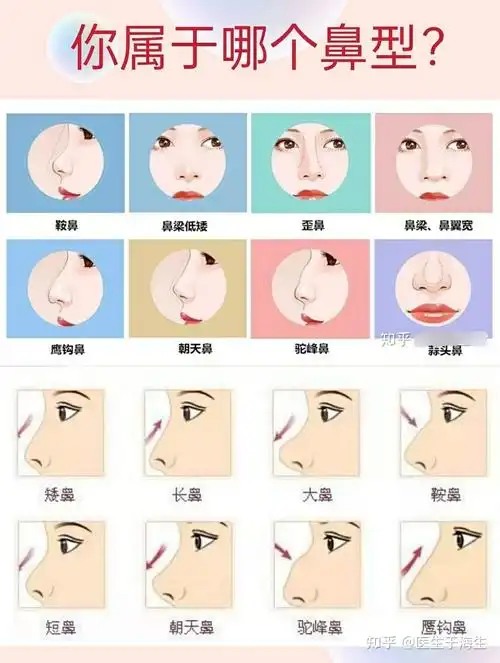 想要拥有好看鼻型,黄金比例才是关键! - 知乎