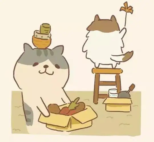 这里的猫真的好可爱,忍不住每天都去看它!_客人