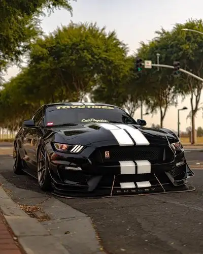 一匹帅气的野马gt350,黑色好酷