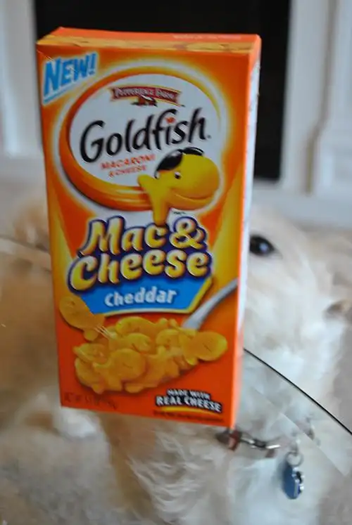 macaroni and cheese recipe with goldfish crackers