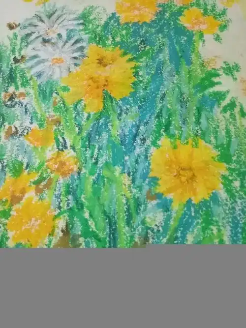 写生与写意油画棒画大滨菊简易教程