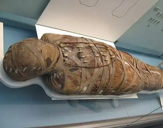 活生生被制成木乃伊,科学家进行ct扫描后,才发现它们身世可怜