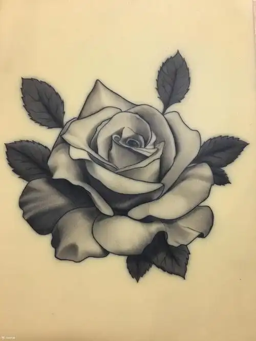 玫瑰_纹身图案手稿图片_rockris 的纹身作品集