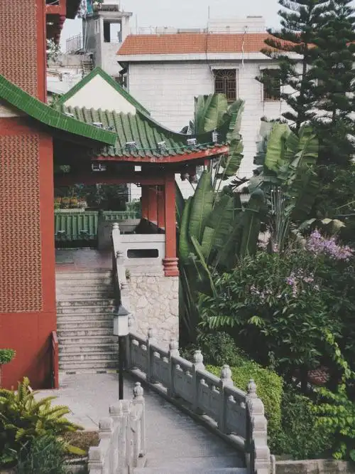 厦门鸿山公园里的夏季