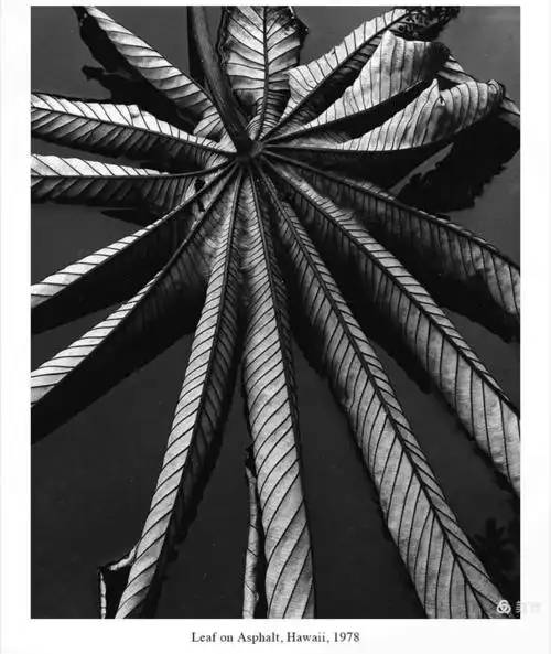 抽象派摄影大师布雷特·韦斯顿作品欣赏