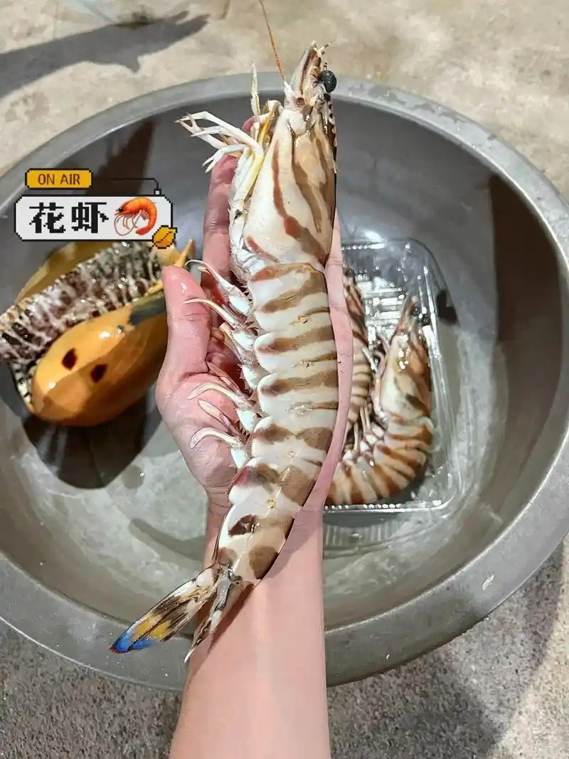 增强体质:大花虾含有蛋白质,钙,磷等营养元素,具有增强体质的功效