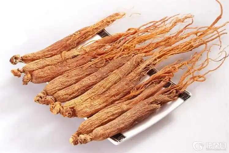 健康科普:女性吃红参的最佳时间,早知早受益 - 快孕网