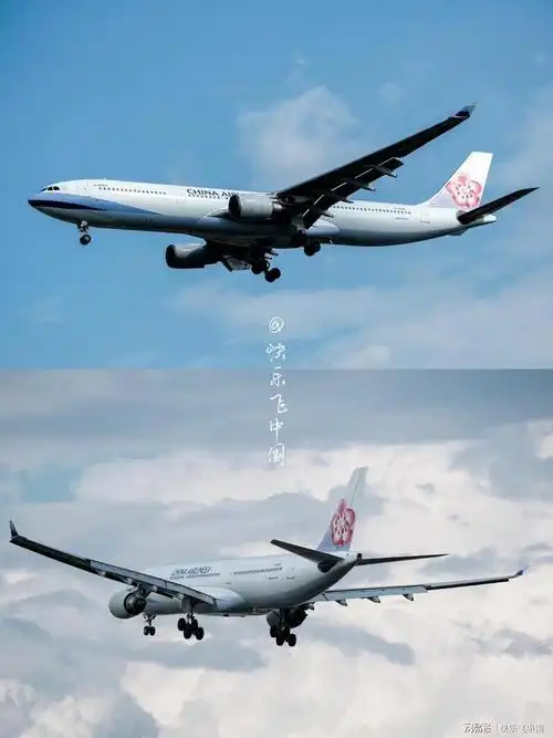 1篇看懂②⑥架a330|广州|飞机|a330|中华航空|空中客车a330_网易订阅