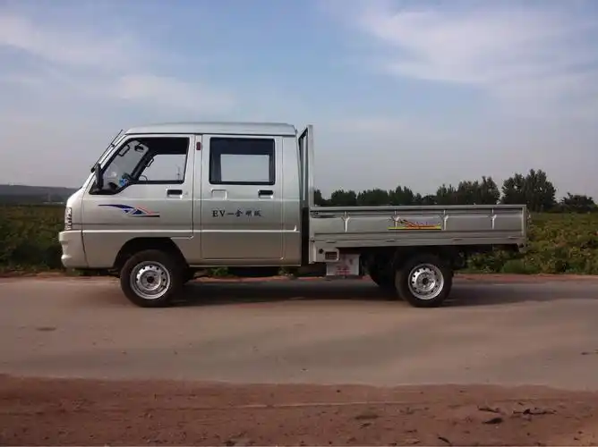 厂家直销竞捷电动双排车 电动客货两用车 价格实惠 可定制