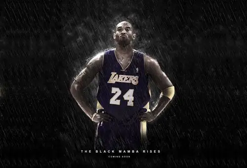 要霸气的,能够体现科比王朝.