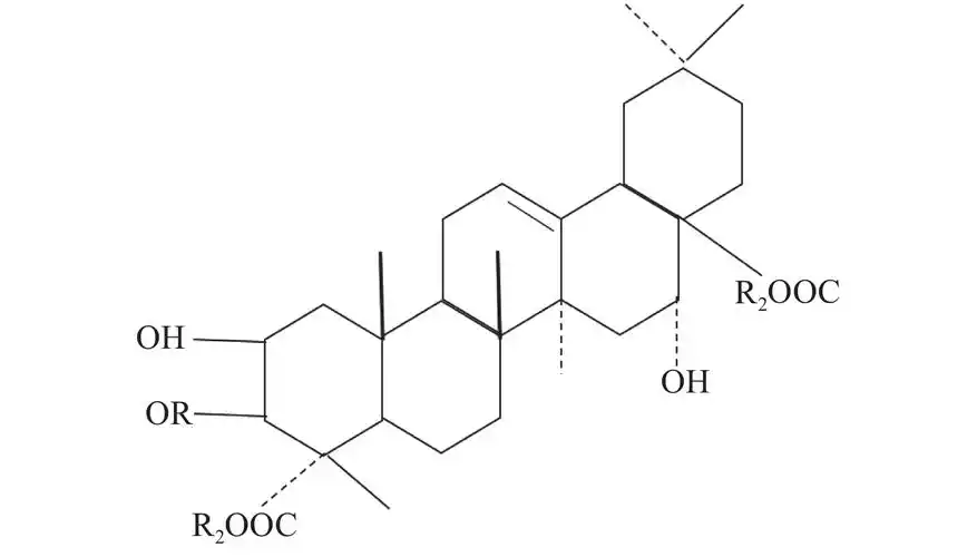 图 1         三萜皂苷结构