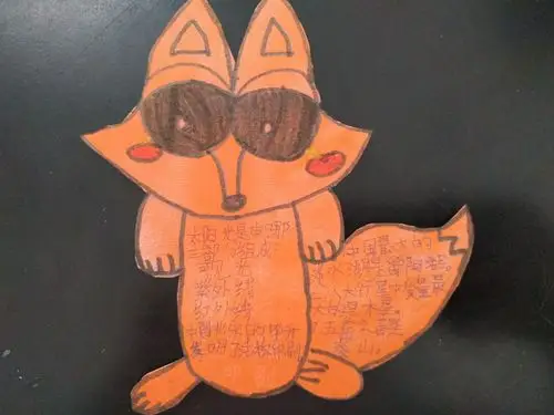 赫山万源小74动感中队"科学技术卡片"展