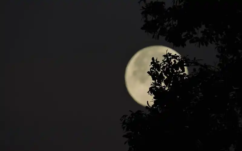 十五的月亮圆又圆