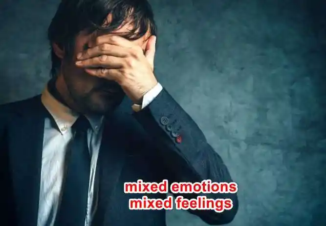 "复杂的心情"英文怎么说?