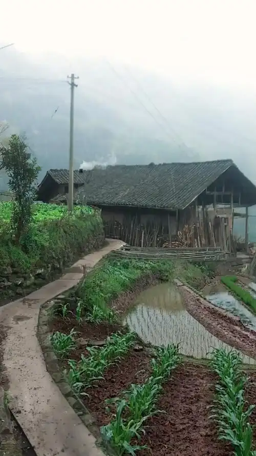 这就是真实的农村,一个偏僻的小山村,以前有一百多户人家,现只剩下这