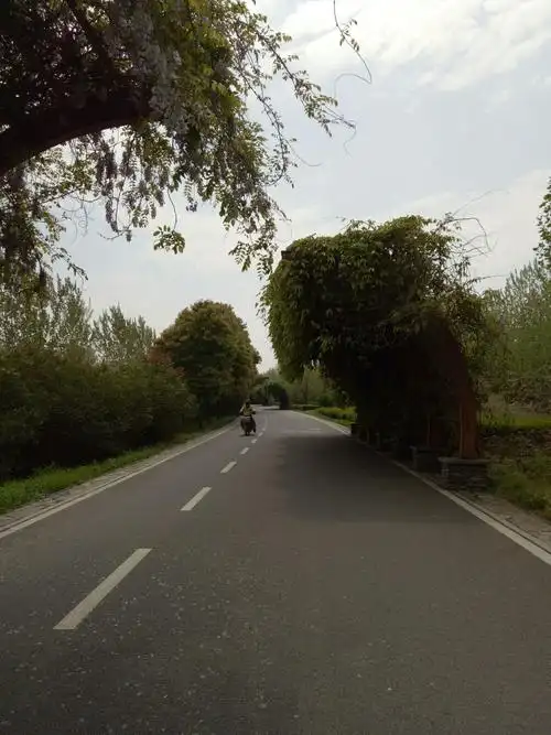 金银潭~张公堤城市森林公园