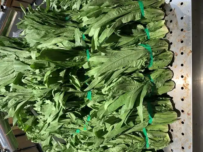 油麦菜 3.58元/斤