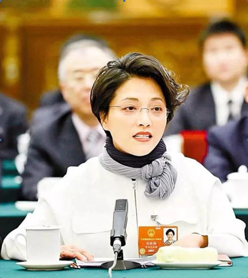 全国人大代表沈铁梅深入挖掘红色文化构建人民心灵的绿水青山