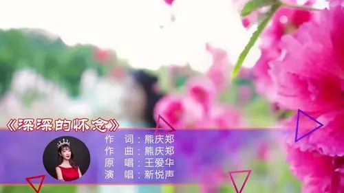 深深的怀念王爱华旋律优美动听歌词感人至深触动人心